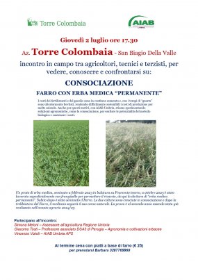 INCONTRO TECNICO CONSOCIAZIONE
