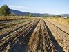 L'agricoltura biologica garantisce e arricchisce la biodiversità.