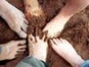 Anche in Umbria si lavora per costituire il Forum di Agricoltura Sociale