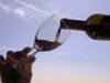 VINO BIO: CONSUMATORI IN AUMENTO NONOSTANTE LA CRISI