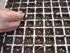 Un vivaio biologico sociale: L'Albero di Zaccheo accorcia la filiera e da opportunità.
