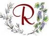 Sangiovese de La Piccola Cantina Rossi al prezzo speciale di 1,40 EUR al Litro
