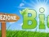 Il Testo Unico sul Bio
