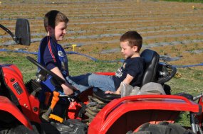 Obiettivo 100.000 ettari. In Umbria va raddoppiata la superficie agricola utilizzata per il bio. Aiab sollecita Morroni (Regione) e la “triade”