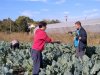 23 settembre, Giornata europea del bio: per Aiab è anche agricoltura sociale