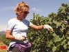 "Nuovi Fattori di Successo",  selezione nazionale per giovani agricoltori